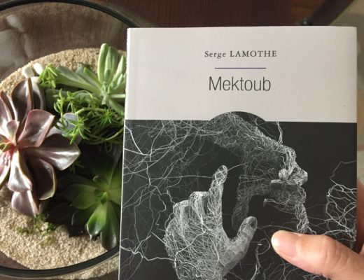 Mektoub et succulentes